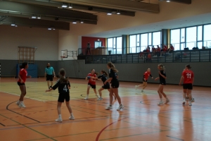 Handball Mädchen (1).JPG