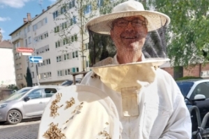 Bienen.jpg