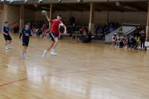 Handball4.JPG