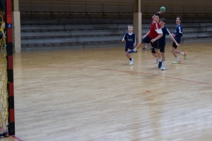 Handball2unscharf.JPG