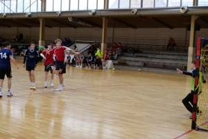 Handball5.JPG