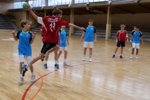 Handball1.JPG