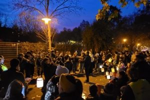 St. Martinsumzug (4).jpg