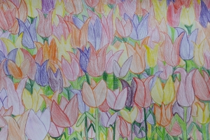 Tulpen 5c (2).jpg